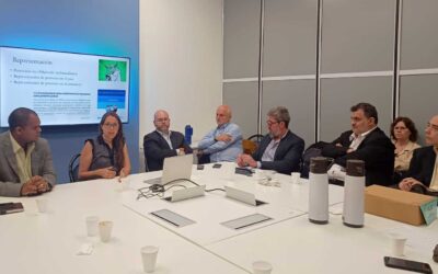 Cuestiones prácticas del procedimiento migratorio argentino