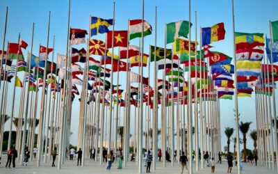 La protección internacional en riesgo: Comentarios sobre las modificaciones del DNU 942/24 en la ley argentina de reconocimiento y protección al refugiado.